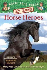 Horse heroes : stallion by starlight 