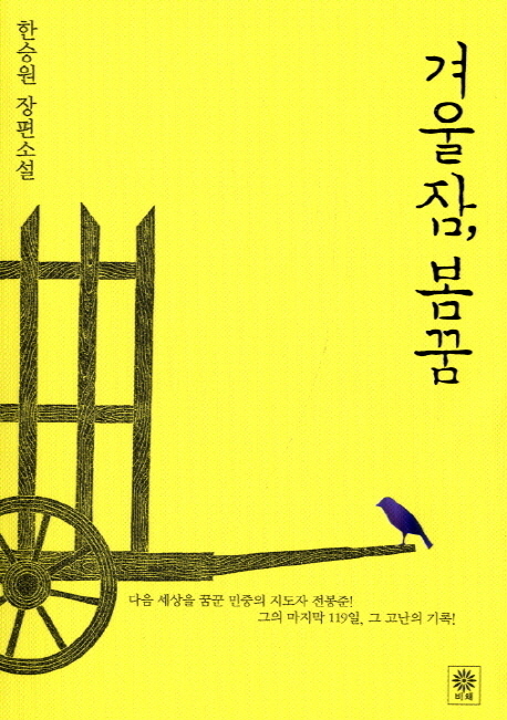 겨울잠,봄꿈:한승원장편소설