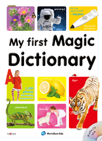 (My first)Magic Dictionary