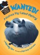 Wanted! a guinea pig called Henry 