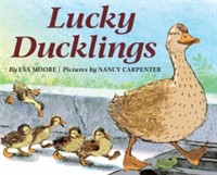 Lucky ducklings