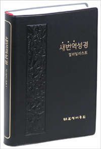 새번역 성경 컬러일러스트 (무색인,RNC72,단본)