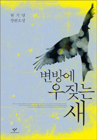 변방에 우짖는 새 : 현기영 장편소설 표지 이미지