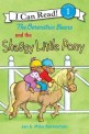 (The Berenstain bears)and the shaggy little pony