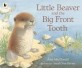 Little Beaver and the Big Front Tooth (Paperback)