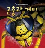 노엘에듀 이미지