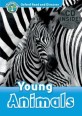 Oxford Read and Discover: Level 1: Young Animals Audio CD Pack (Package)