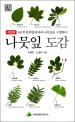 나뭇잎 도감 :4단계 분류법에 따라 나뭇잎을 구별한다 