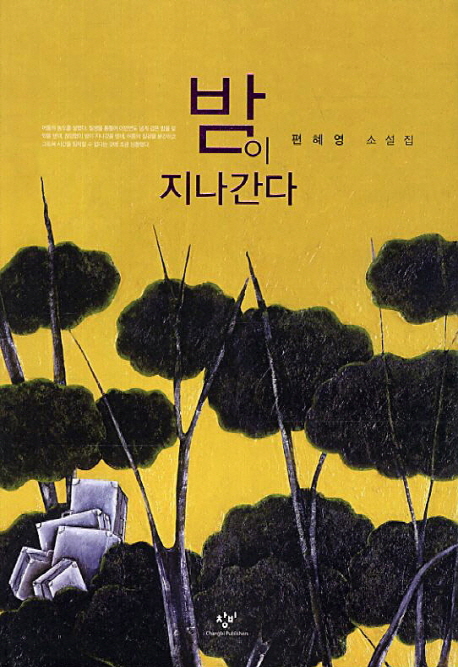 밤이지나간다:편혜영소설집