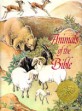 Animals of the bible : a picture book