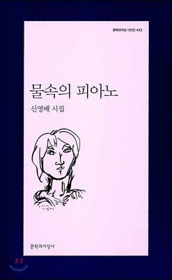 물속의 피아노  : 신영배 시집