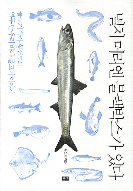 멸치머리엔블랙박스가있다:물고기박사황선도의열두달우리바다물고기이야기