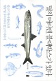 멸치 머리엔 블랙박스가 있다  : 물고기 박사 황선도의 열두 달 우리 바다 물고기 이야기