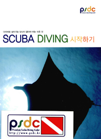 Scuba diving 시작하기 : 다이버로 살아가는 당신이 알아야 하는 모든 것