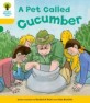 Oxford Reading Tree: Stage 5: Decode and Develop a Pet Called Cucumber (Paperback)
