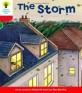 Oxford Reading Tree: Level 4: Stories: the Storm (Paperback)