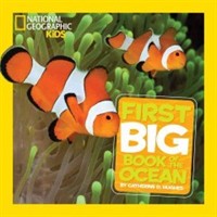 Little kids first big book of the ocean 