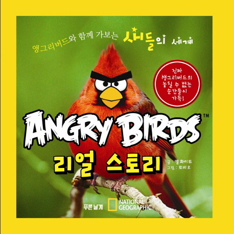 Angry birds 리얼 스토리