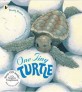 Nature Storybooks: One Tiny Turtle (Book+CD) (Paperback)