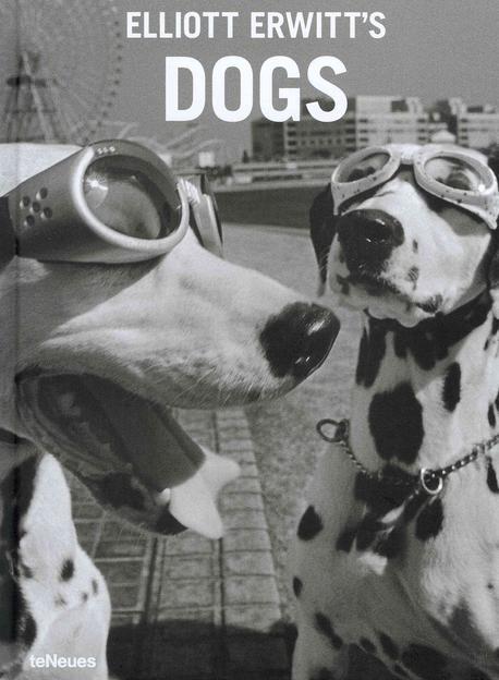 Elliott Erwitt's dogs