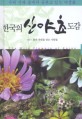 한국의 산야초 도감 : 우리 산과 들에서 숨쉬고 있는 야생화