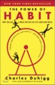 (The)Power of habit : why we do what we do in life and business