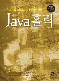 (최고 수준의 프로그래머가 되기 위한) Java 홀릭