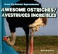 Awesome Ostriches/Avestruces Increibles (Library Binding)