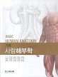 (기본) 사람해부학 =Basic human anatomy 