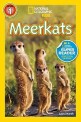 Meerkats 