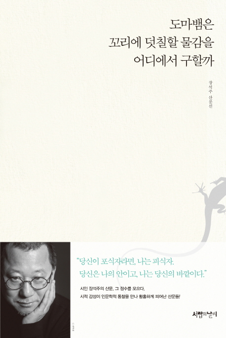 도마뱀은 꼬리에 덧칠할 물감을 어디에서 구할까 (장석주 산문선)