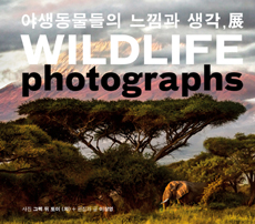 야생동물들의 느낌과 생각, 展 : Wildlife Photographs  