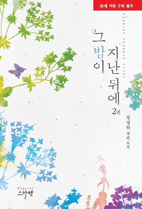 그 밤이 지난 뒤에 :정경하 장편 소설