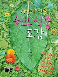 (서양의 약초) 허브 식물 도감