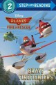 Planes Fire & Rescue Level 2 (Fire & Rescue))