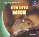 Itty Bitty Mice (Library Binding)