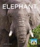 Elephant (Library Binding)