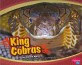 King Cobras (Paperback)