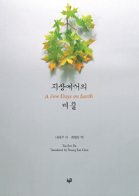 지상에서의 며칠 = (A) few days on earth