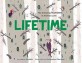 Lifetime (The Amazing Numbers in Animal Lives)