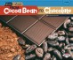 From Cocoa Bean to Chocolate (Hardcover)