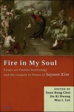 Fire in my soul : essays on Pauline soteriology and the gospels in honor of Seyoon Kim