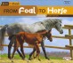 From Foal to Horse (Hardcover)