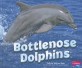 Bottlenose Dolphins (Library Binding)