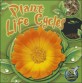 Plant Life Cycles (Paperback)