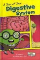 A Tour of Your Digestive System (Library Binding)