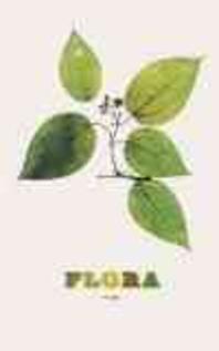 Flora : 2014 edition