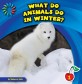 What Do Animals Do in Winter? (Library Binding)