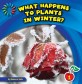 What Happens to Plants in Winter? (Library Binding)
