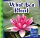 What Is a Plant (Library Binding)